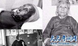 猫脸老太太 在线观看,神秘传说在线揭秘