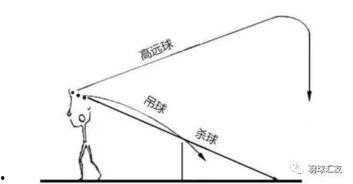 击球手三视图爆料视频大全,全方位解析运动美学与科技融合